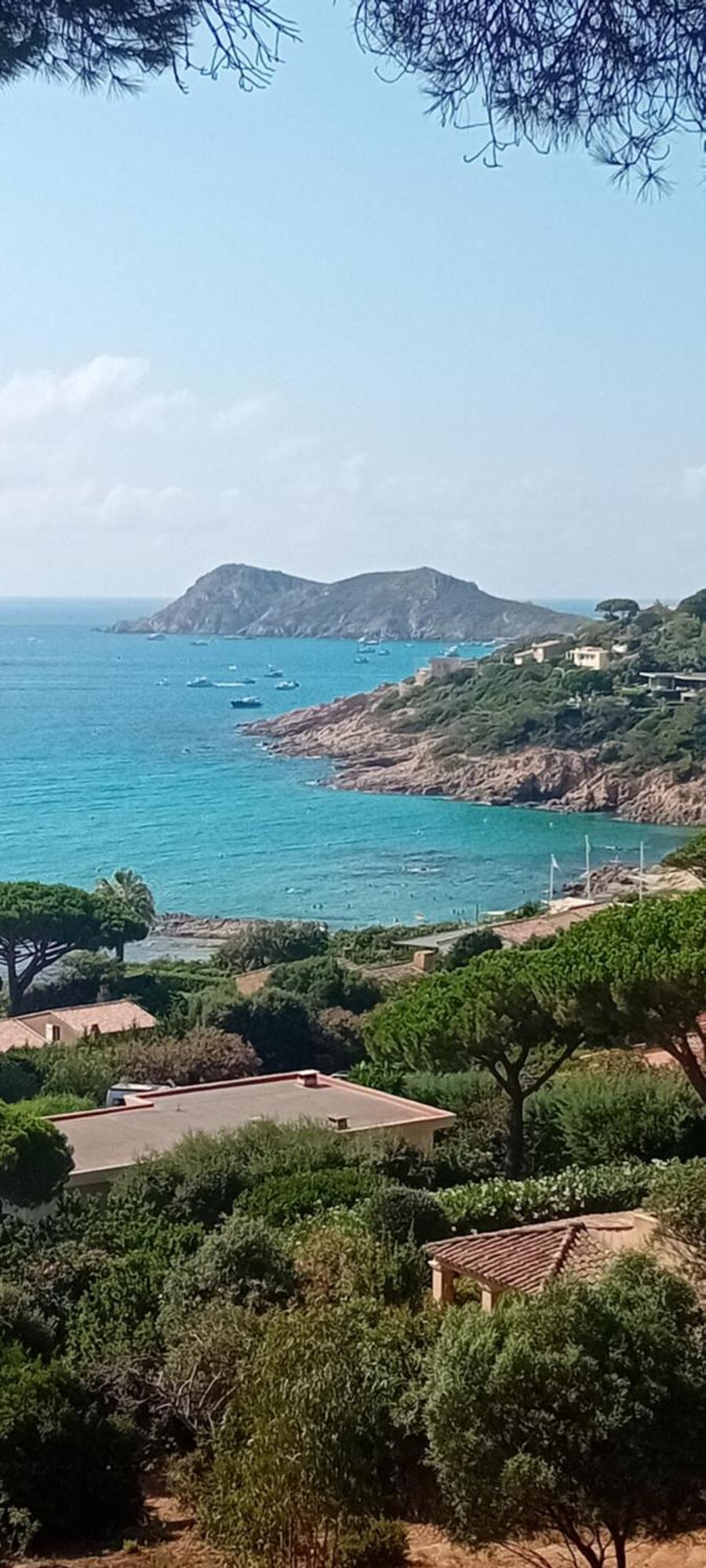 Appartement T2 A La Croix Valmer Piscine Et Tennis Eksteriør bilde